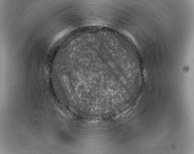 X0000090731064200708171943