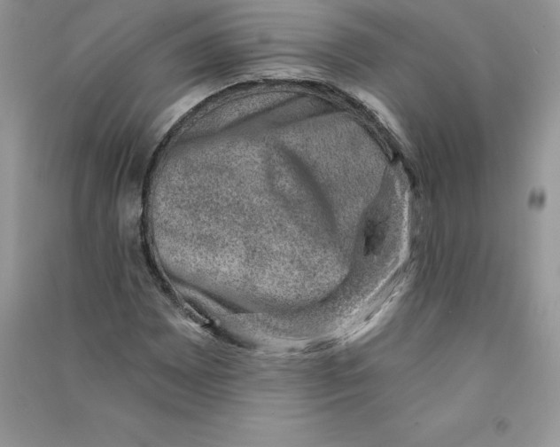 X0000090731065200708171943