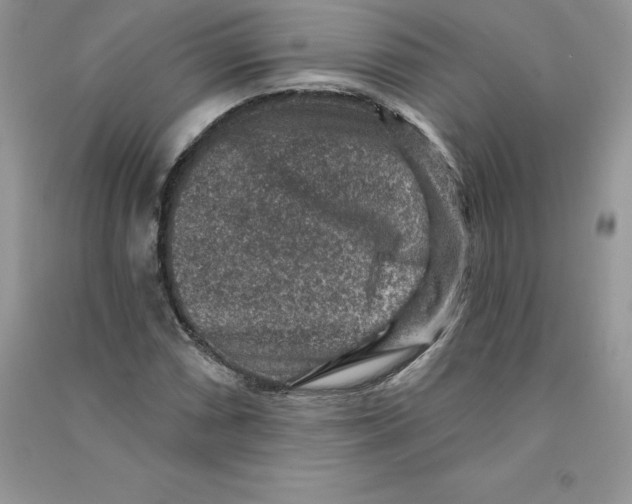 X0000090731066200708171943