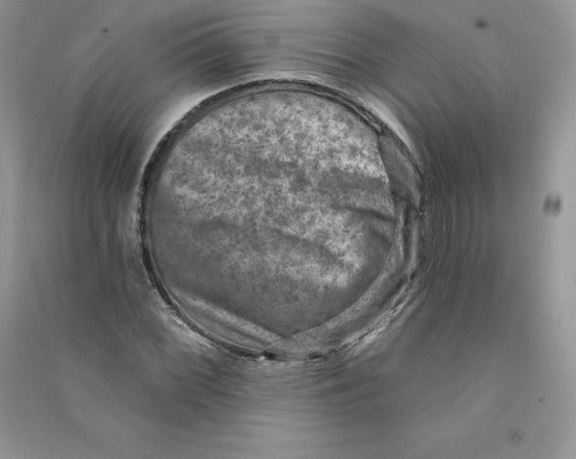 X0000090731068200708171943