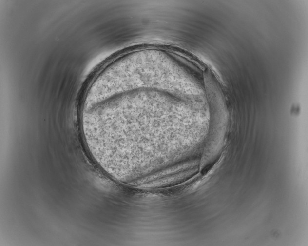 X0000090731070200708171943