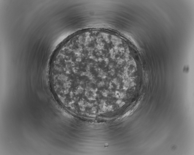 X0000090731071200708171943