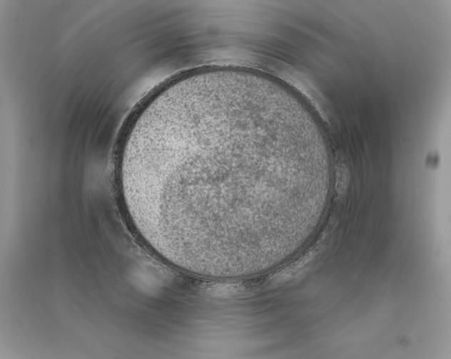 X0000090731074200708171943