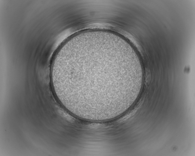 X0000090731075200708171943