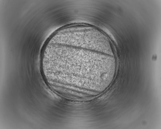 X0000090731076200708171943