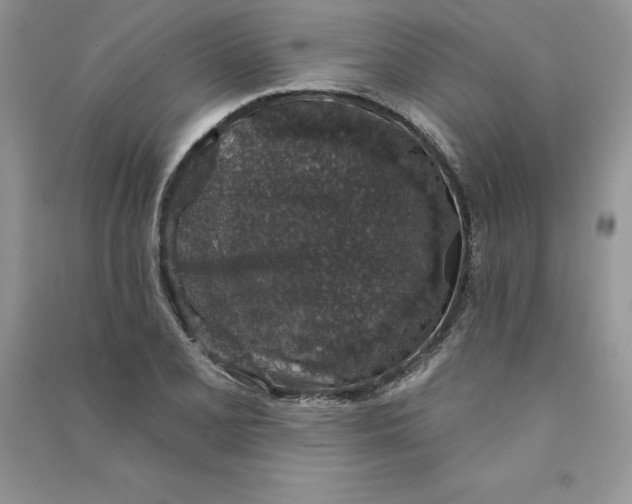 X0000090731077200708171943