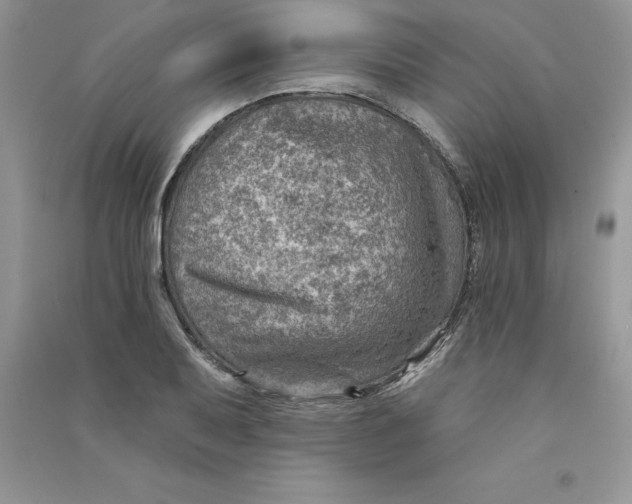 X0000090731079200708171943