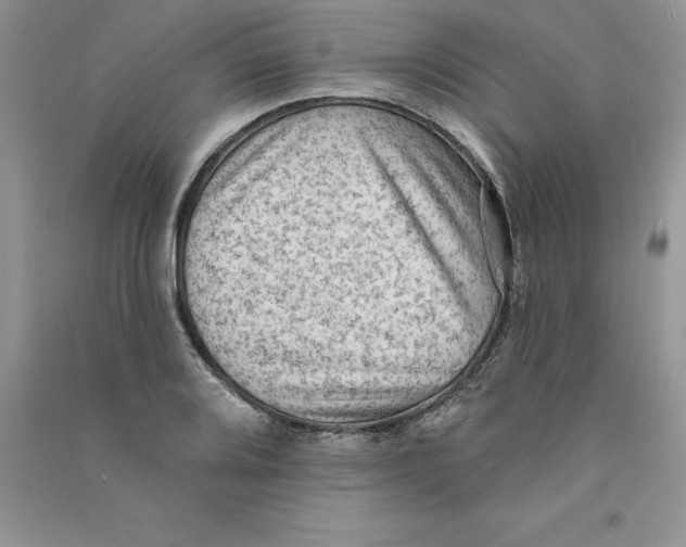 X0000090731080200708171943