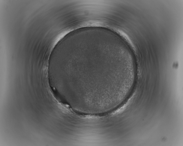 X0000090731081200708171943