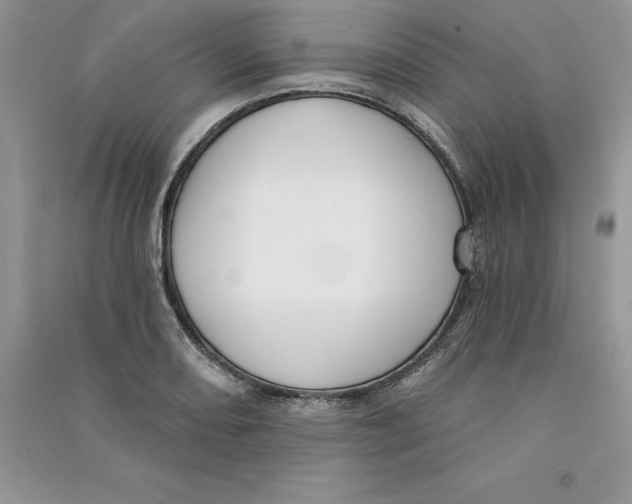 X0000090731082200708171943