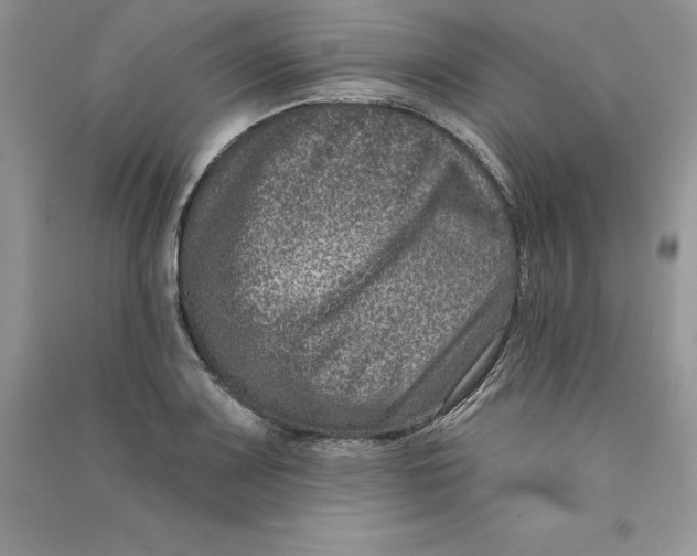 X0000090731083200708171943