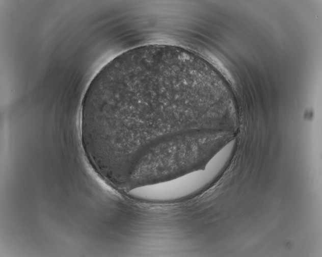 X0000090731084200708171943