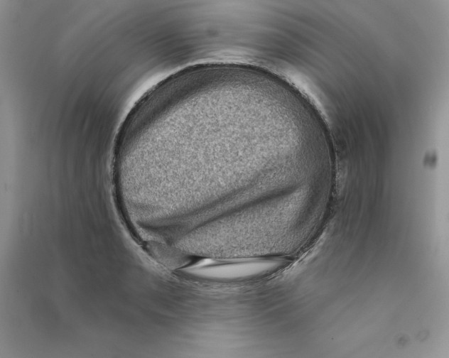 X0000090731085200708171943