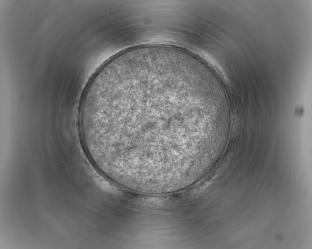 X0000090731086200708171943