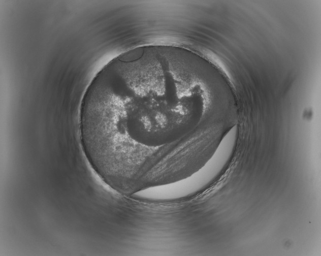 X0000090731087200708171943