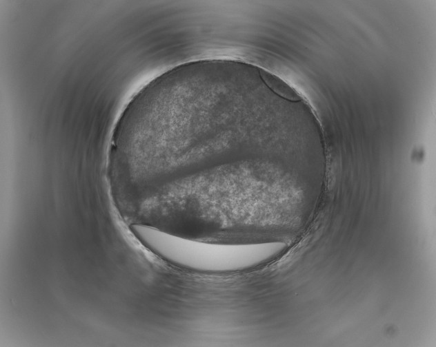 X0000090731088200708171943