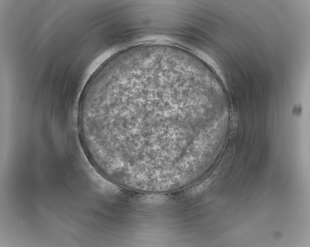 X0000090731090200708171942