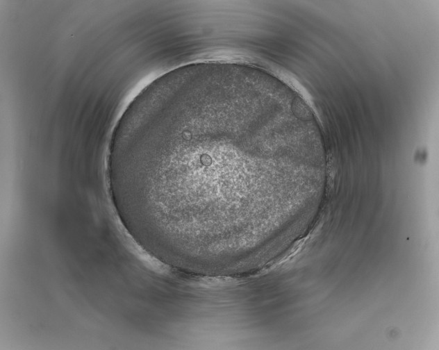 X0000090731091200708171942