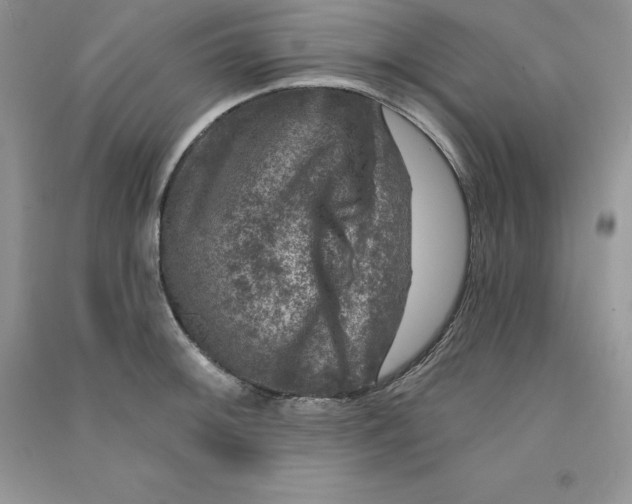 X0000090731092200708171942