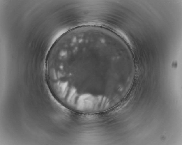 X0000090731095200708171942