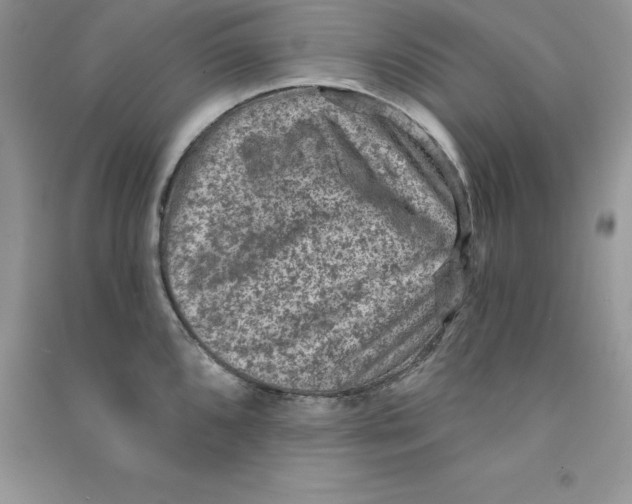 X0000090731096200708171942