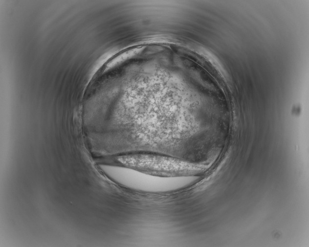 X0000090731097200708171942