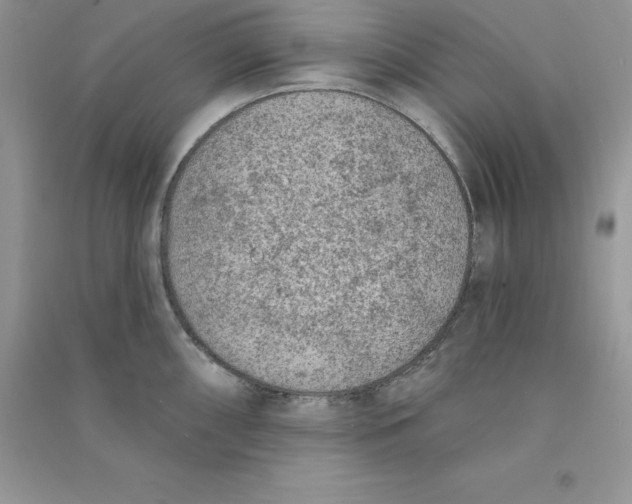 X0000090731098200708171942