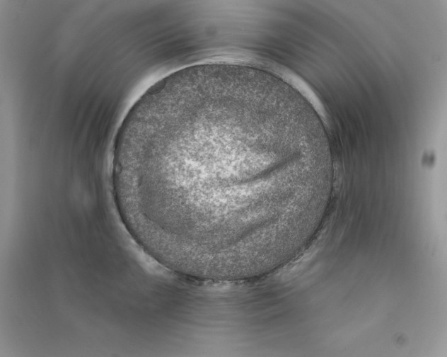 X0000090731099200708171942