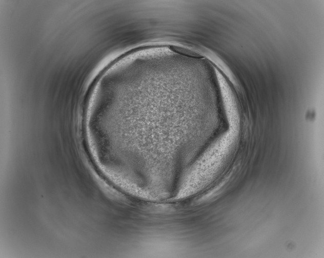 X0000090731101200708171942