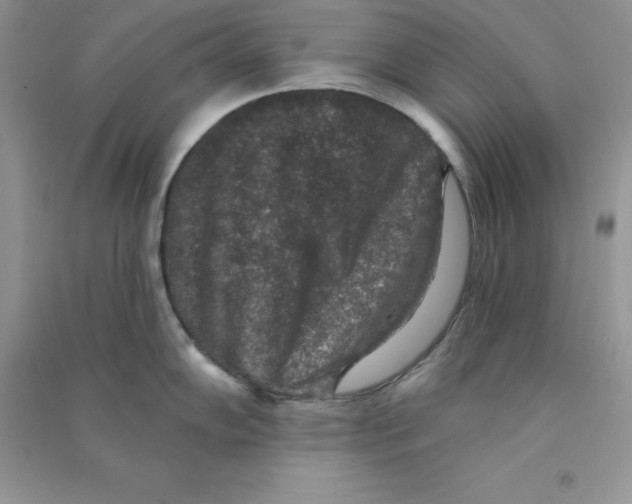 X0000090731102200708171942