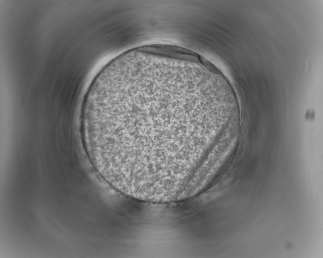 X0000090731104200708171942