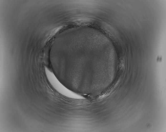 X0000090731108200708171942