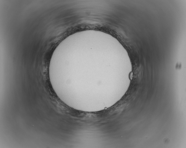 X0000090731109200708171942