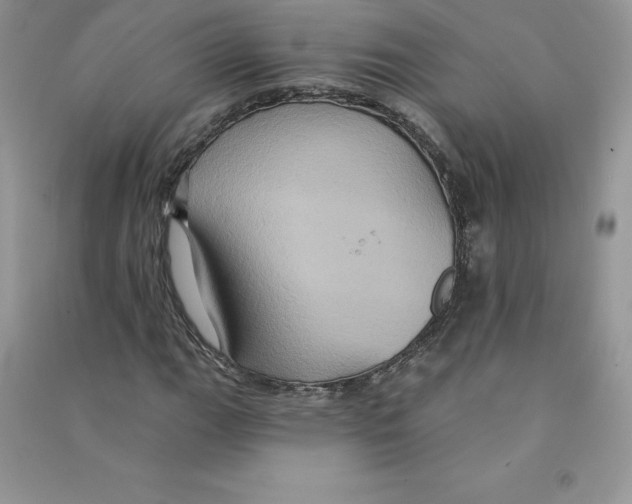 X0000090731111200708171942