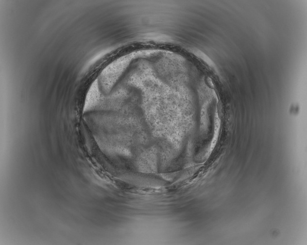 X0000090731112200708171942