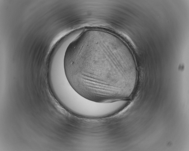 X0000090731114200708171942