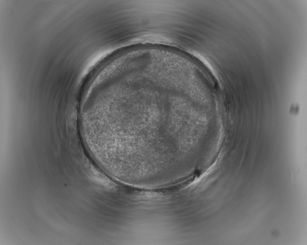 X0000090731115200708171942