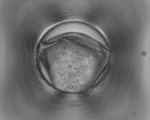 X0000090731116200708171942