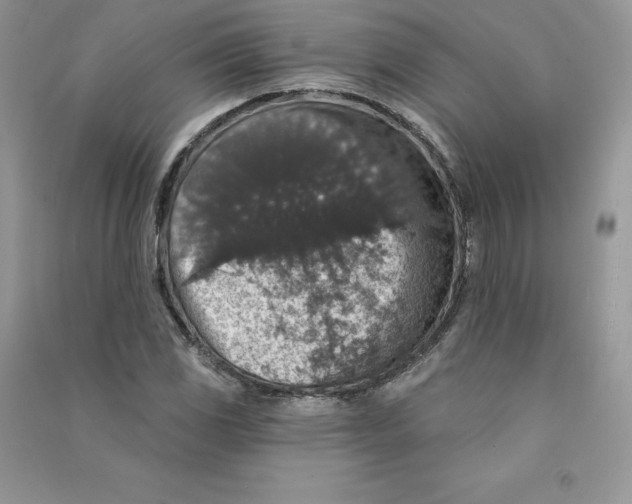 X0000090731117200708171942