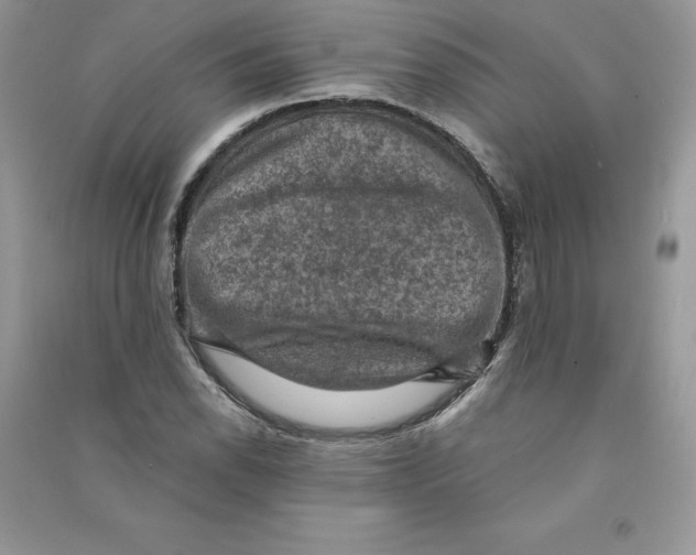 X0000090731118200708171942