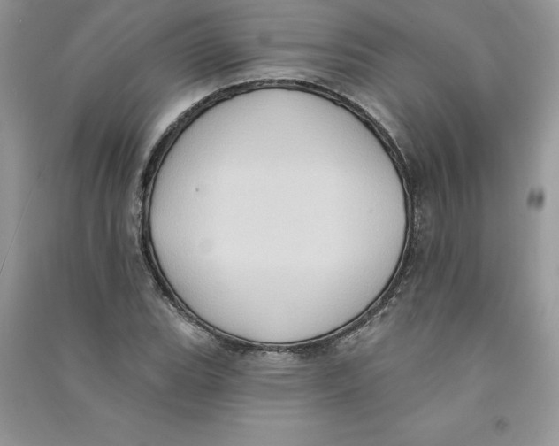 X0000090731119200708171942