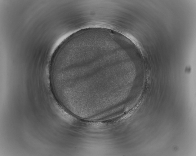 X0000090731120200708171942