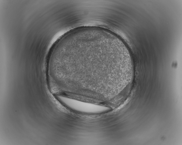 X0000090731122200708171942