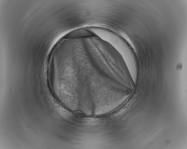 X0000090731124200708171942