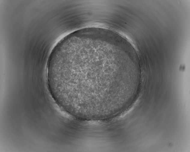 X0000090731125200708171942