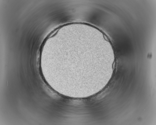 X0000090731126200708171942