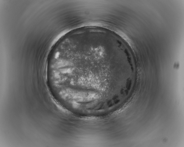 X0000090731127200708171942