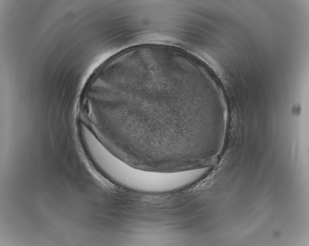 X0000090731128200708171942