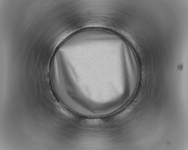 X0000090731129200708171942