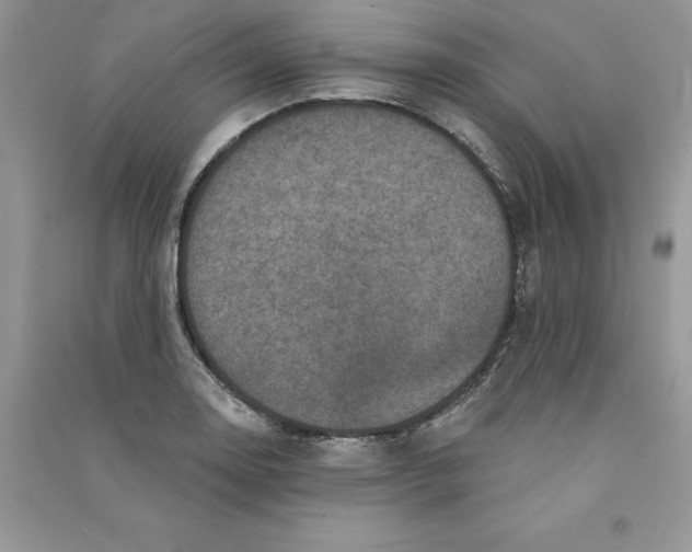 X0000090731130200708171942